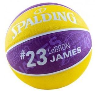 SPALDING NBA Player Lebron James