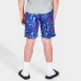 Nike Boys' Little Kids' Nike Sea Friends 6" Volley Swim Shorts