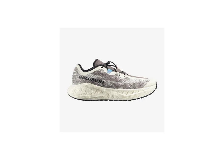 Salomon Aero Glide 4 GRVL   Ανδρικά Αθλητικά Παπούτσια Running Καφέ