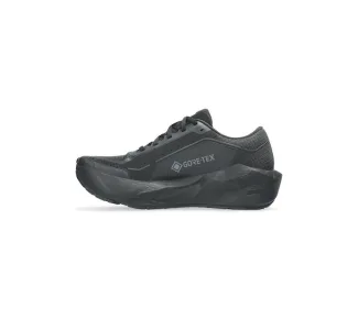 ASICS Novablast 6 Gtx Ανδρικά Αθλητικά Παπούτσια Running Αδιάβροχα με Μεμβράνη Gore-Tex Blk