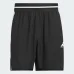 Adidas Crazy Lite Shorts