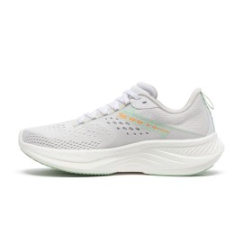 Saucony Ride 17 Γυναικεία Παπούτσια