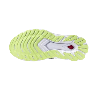 Mizuno Wave Skyrise 5 Roxy Γυναικεία Παπούτσια
