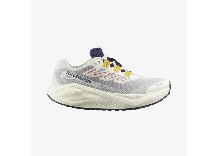 Salomon Aero Blaze 3 Γυναικεία Παπούτσια Trail Running